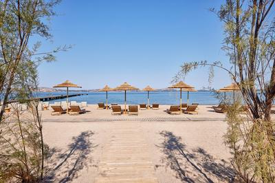 Parelia Beach Club