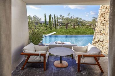 Fabulous Infinity Swim-up Guest Room