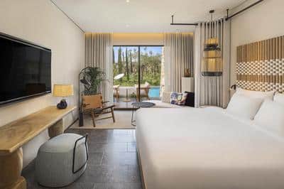 Fabulous Infinity Swim-up Guest Room