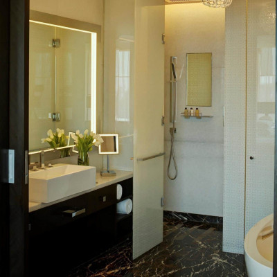 Park Hyatt Hyderabad image