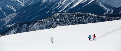 Kids Skiing
