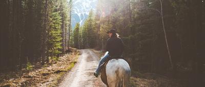 Horse Riding