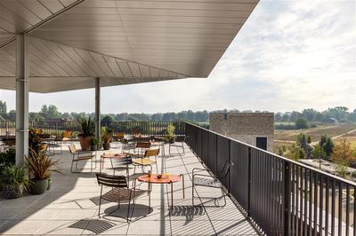 Patio Terrace