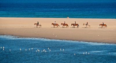 Horse Riding