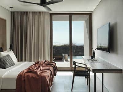 1 King Bed with Private Pool