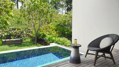 1 King Bed with Plunge Pool