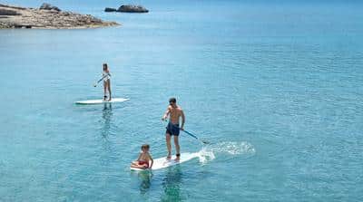 Paddle Boards