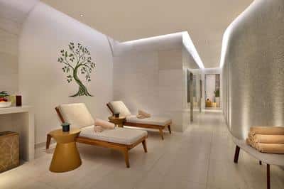 The Ritz-Carlton Spa - Relaxation Room