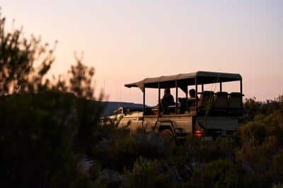 Nature Drive