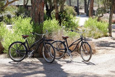 Bike Hire