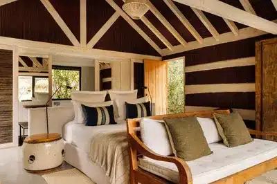 Bio Pool Suite