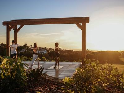 Fitness Classes