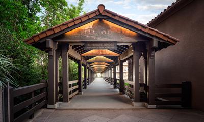 Picture Bridge