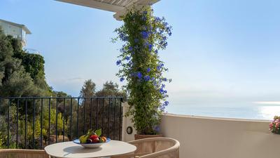 Deluxe Suite with Terrace