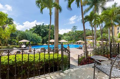 Guest Room - Pool View