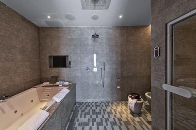 Park Terrace Suite