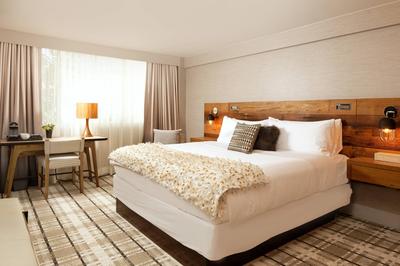 King Guest Room