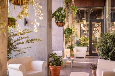 Barista Parlor