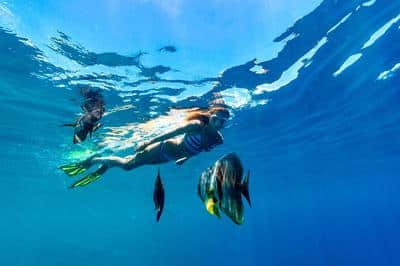 Snorkeling