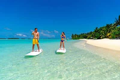 Paddle Board