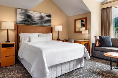 Deluxe Suite with Queen Bed