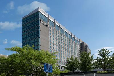 Daytime Exterior