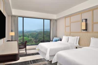 Double Deluxe Guest Room