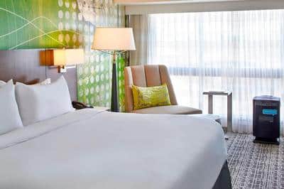 King Pure Room Guest Room
