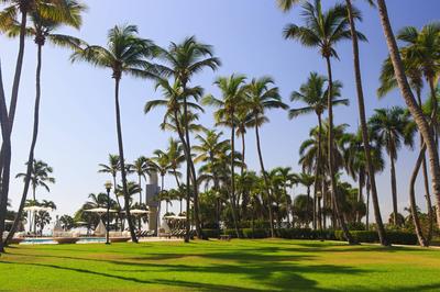 Lush Gardens