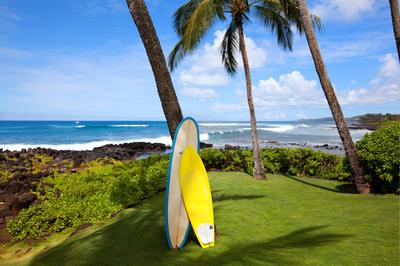 Surf Boards