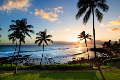 Oceanfront View