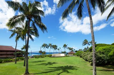 Luau Lawn