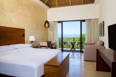 King Guest Room