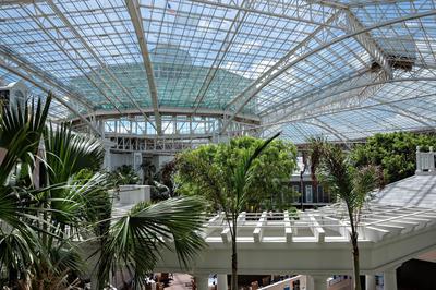 Junior Suite - Atrium View