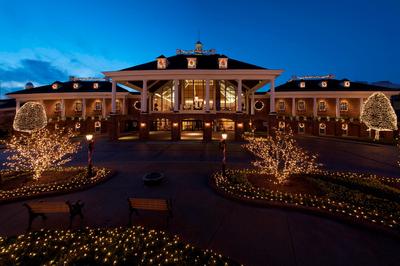 Exterior Holiday Lights