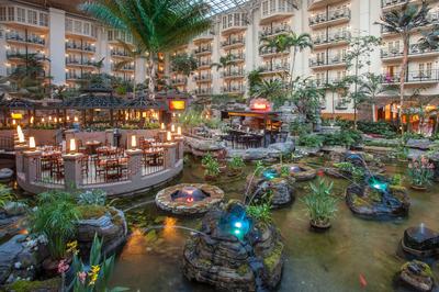 Junior Suite â€“ Atrium View