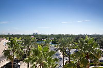 Florida View