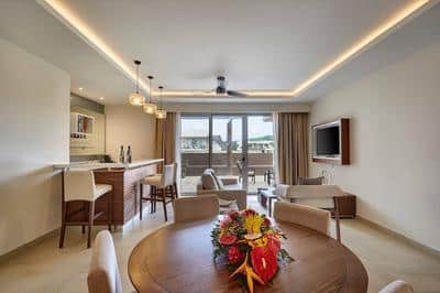 One-Bedroom Penthouse Suite