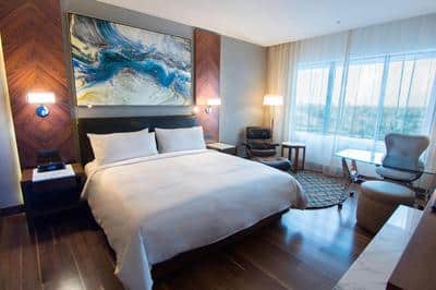 Master Suite - Bedroom