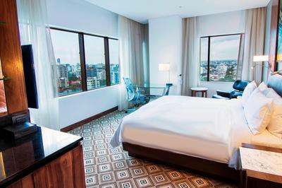 Deluxe King Guest Room