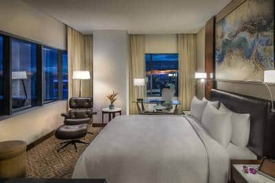Deluxe King Guest Room