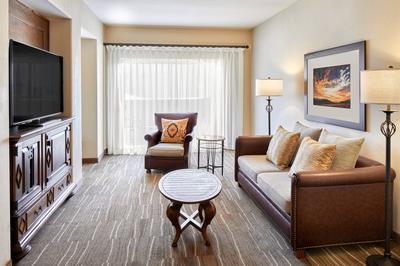 Junior Suite - Living Area