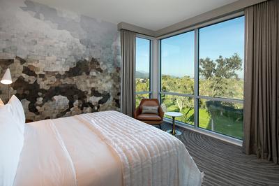 One Bedroom Suite