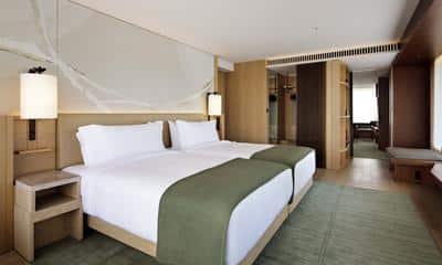 Executive Suite