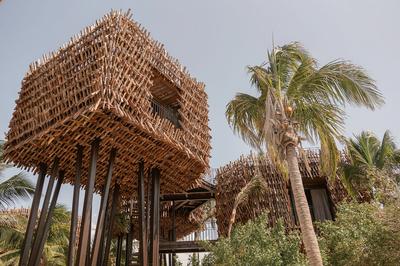 Treehouse Suite