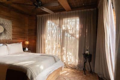 Treehouse Suite