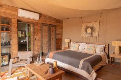 Ocean Front Suite