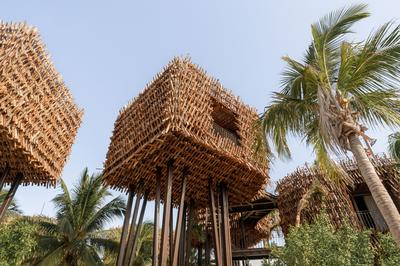 Treehouse Suite