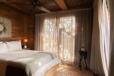 Treehouse Suite