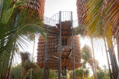 Treehouse Suite